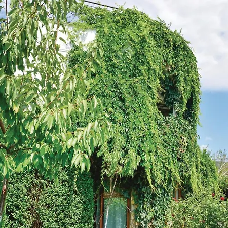Case de vacanță Three-bedroom Holiday In Kosharica Koșarița